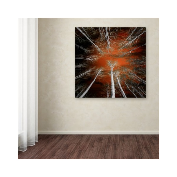 Trademark Fine Art Philippe Sainte-Laudy 'Something Growing In Me' Canvas Art, 35x35 - PSL0927-C3535GG
