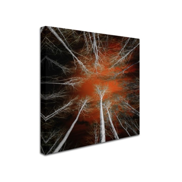Trademark Fine Art Philippe Sainte-Laudy 'Something Growing In Me' Canvas Art, 35x35 - PSL0927-C3535GG