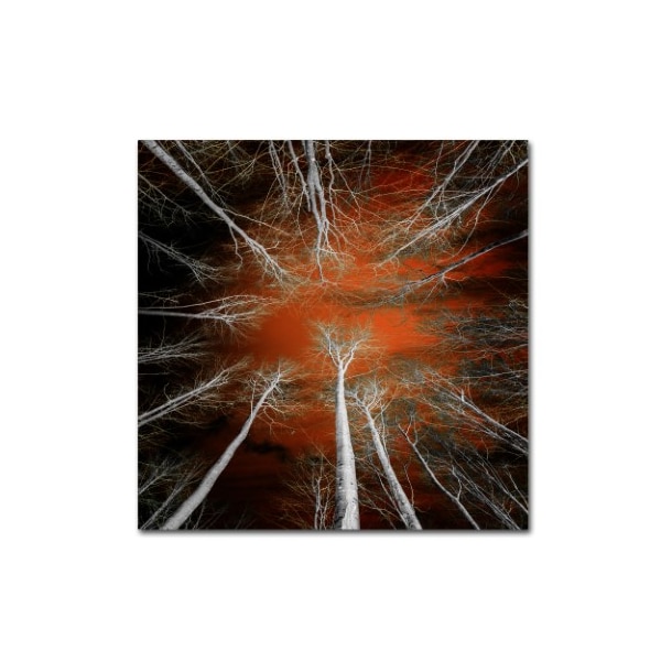 Trademark Fine Art Philippe Sainte-Laudy 'Something Growing In Me' Canvas Art, 35x35 - PSL0927-C3535GG