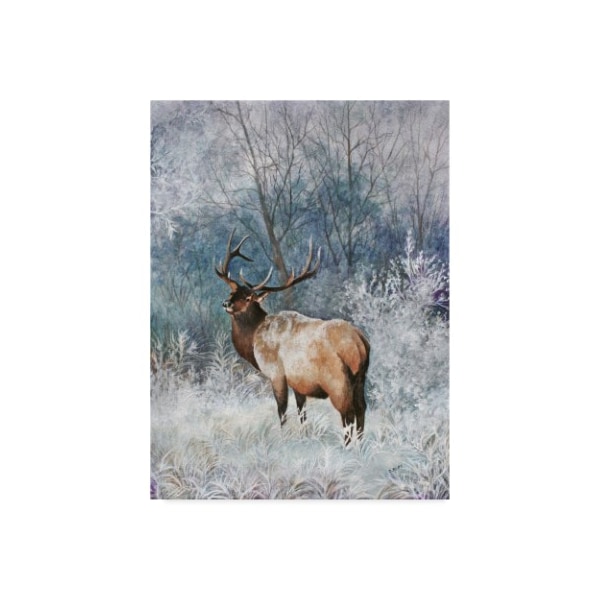 Trademark Fine Art Carol J Rupp 'Frosty Morning Elk' Canvas Art, 35x47 - ALI39920-C3547GG