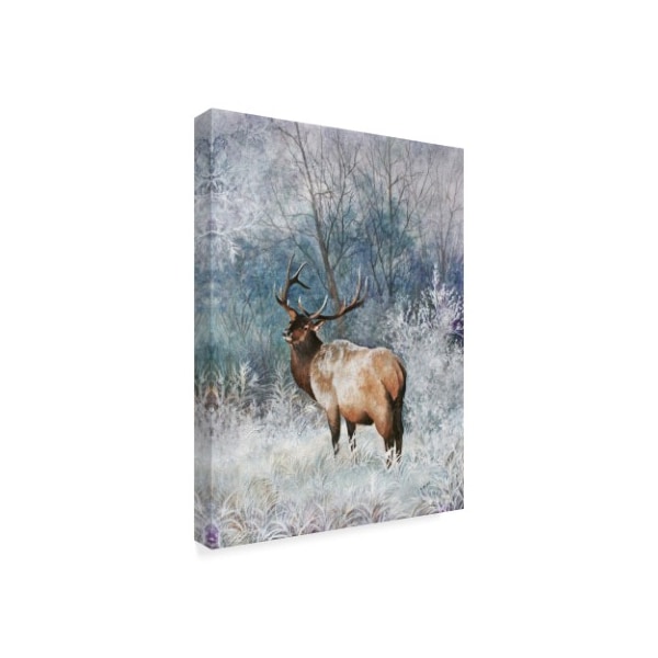 Trademark Fine Art Carol J Rupp 'Frosty Morning Elk' Canvas Art, 35x47 - ALI39920-C3547GG