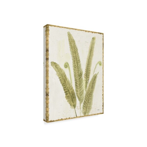 Trademark Fine Art Albena Hristova 'Forest Ferns Ii V2 Antique' Canvas Art, 35x47 - WAP06211-C3547GG