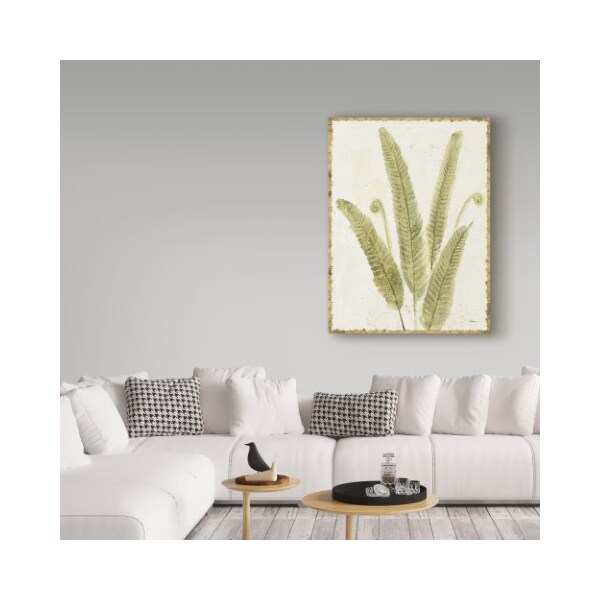 Trademark Fine Art Albena Hristova 'Forest Ferns Ii V2 Antique' Canvas Art, 35x47 - WAP06211-C3547GG