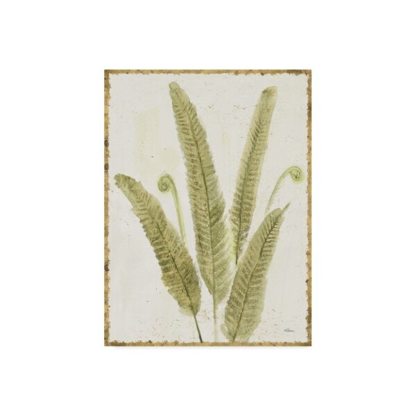 Trademark Fine Art Albena Hristova 'Forest Ferns Ii V2 Antique' Canvas Art, 35x47 - WAP06211-C3547GG