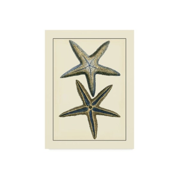Trademark Fine Art Vision Studio 'Antique Blue Starfish I' Canvas Art, 35x47 - WAG02532-C3547GG