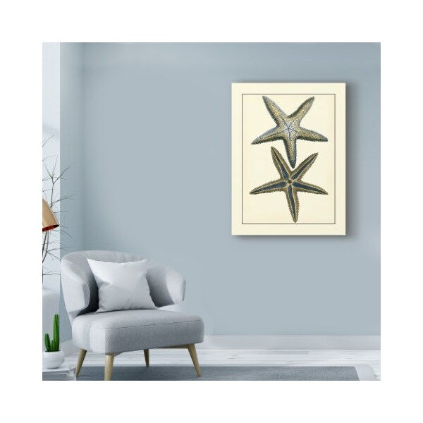 Trademark Fine Art Vision Studio 'Antique Blue Starfish I' Canvas Art, 35x47 - WAG02532-C3547GG