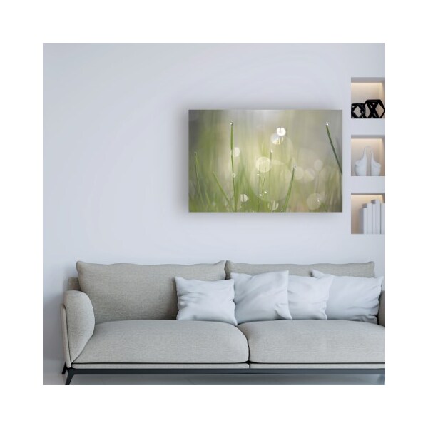Trademark Fine Art Ulpi Gonzalez 'Morning Light No. 3' Canvas Art, 12x19 - IC00785-C1219GG