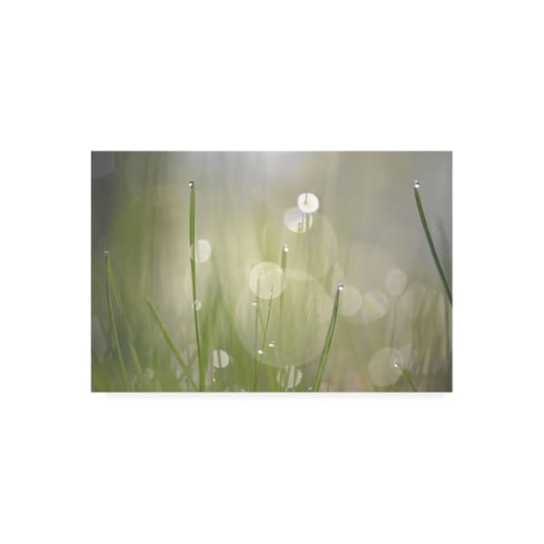 Trademark Fine Art Ulpi Gonzalez 'Morning Light No. 3' Canvas Art, 12x19 - IC00785-C1219GG