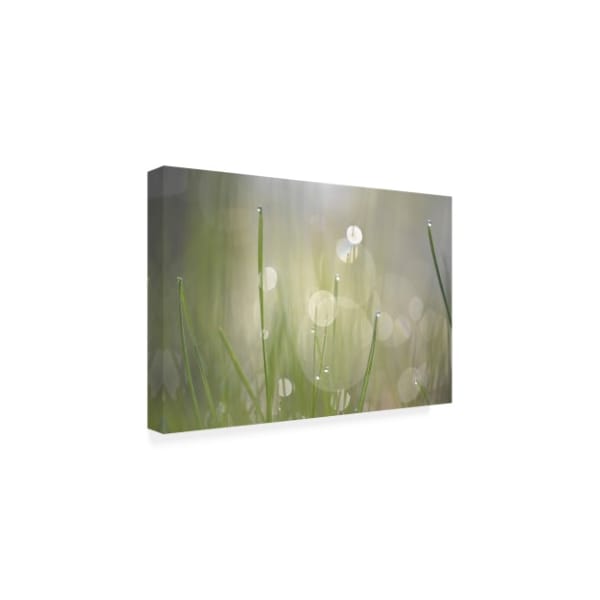 Trademark Fine Art Ulpi Gonzalez 'Morning Light No. 3' Canvas Art, 12x19 - IC00785-C1219GG