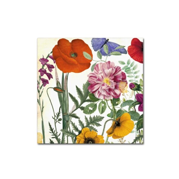 Trademark Fine Art Color Bakery 'Printemps II' Canvas Art, 14x14 - ALI4789-C1414GG