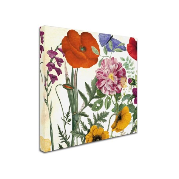 Trademark Fine Art Color Bakery 'Printemps II' Canvas Art, 14x14 - ALI4789-C1414GG