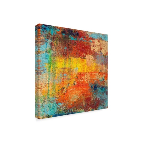 Trademark Fine Art Hilary Winfield 'Bright Saturation' Canvas Art, 14x14 - ALI22875-C1414GG