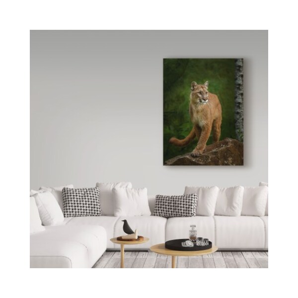 Trademark Fine Art Galloimages Online 'Proud Mountain Lion 2' Canvas Art, 35x47 - ALI35229-C3547GG