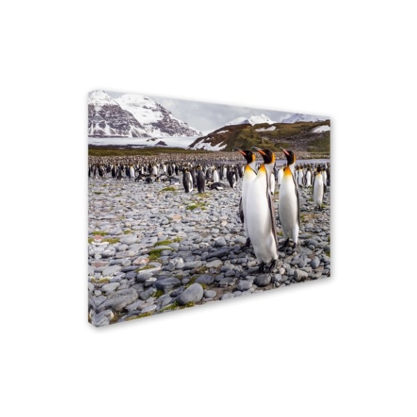 Trademark Fine Art Karen Lunney 'Penguins Of Salisbury Plain' Canvas Art, 18x24 - 1X00260-C1824GG