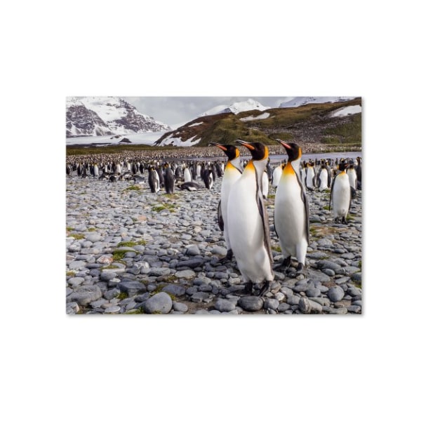 Trademark Fine Art Karen Lunney 'Penguins Of Salisbury Plain' Canvas Art, 18x24 - 1X00260-C1824GG