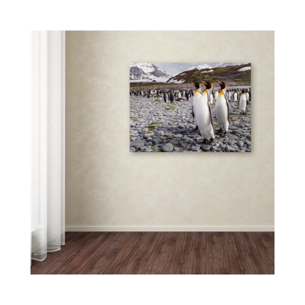 Trademark Fine Art Karen Lunney 'Penguins Of Salisbury Plain' Canvas Art, 18x24 - 1X00260-C1824GG