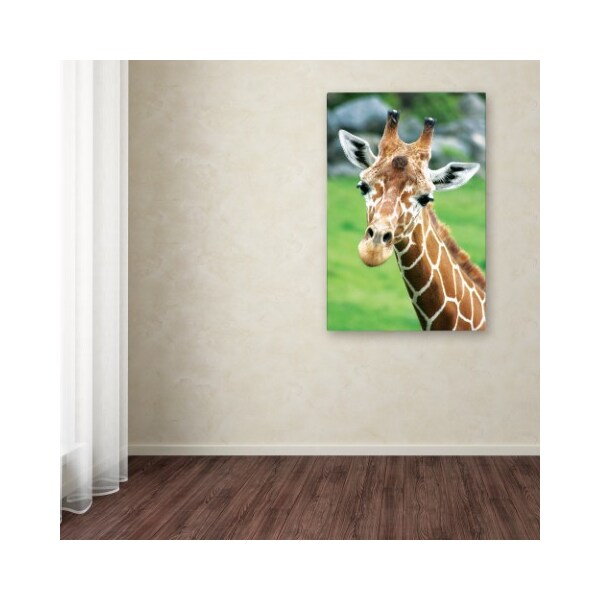 Trademark Fine Art Patty Tuggle 'Giraffe Hello' Canvas Art, 16x24 - PT006-C1624GG