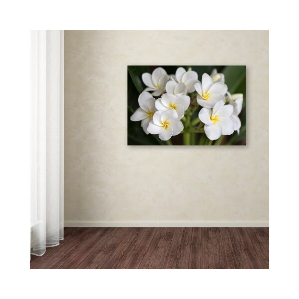 Trademark Fine Art Pierre Leclerc 'Plumeria Flowers' Canvas Art, 30x47 - PL0292-C3047GG