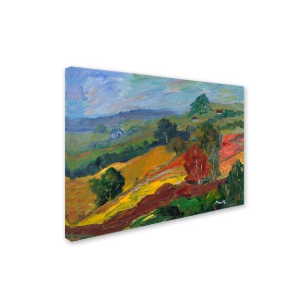 Trademark Fine Art Manor Shadian 'Napa 2' Canvas Art, 35x47 - MA0453-C3547GG
