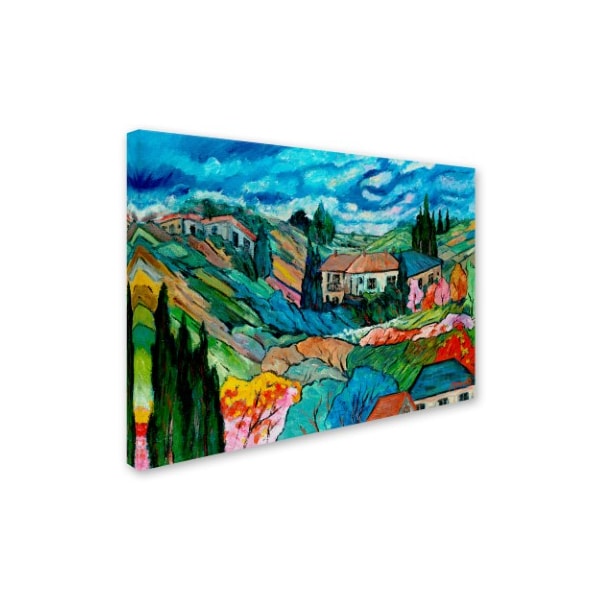 Trademark Fine Art Manor Shadian 'Valley House' Canvas Art, 14x19 - MA0400-C1419GG