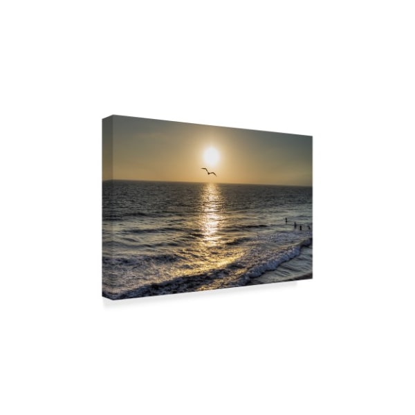 Trademark Fine Art Giuseppe Torre 'Seagull Flying' Canvas Art, 12x19 - ALI35184-C1219GG