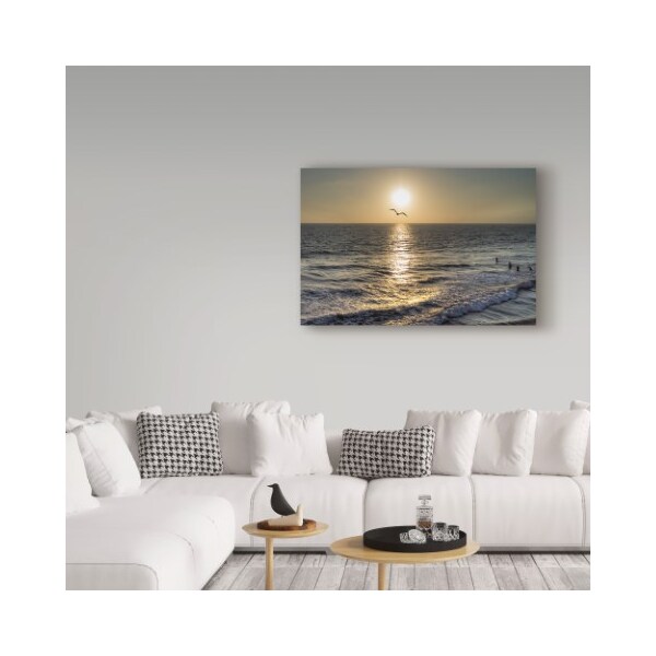 Trademark Fine Art Giuseppe Torre 'Seagull Flying' Canvas Art, 12x19 - ALI35184-C1219GG