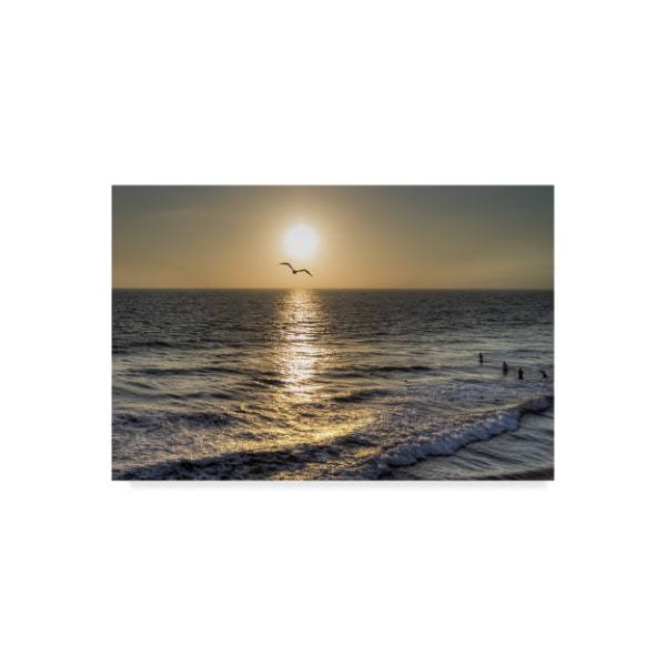 Trademark Fine Art Giuseppe Torre 'Seagull Flying' Canvas Art, 12x19 - ALI35184-C1219GG