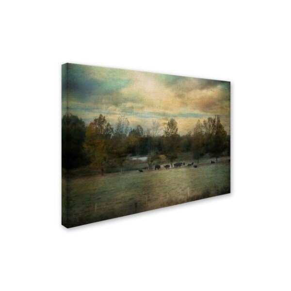 Trademark Fine Art Jai Johnson 'Sunrise On The Farm' Canvas Art, 14x19 - ALI14209-C1419GG