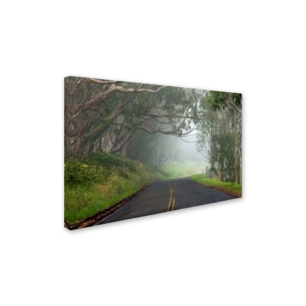 Trademark Fine Art Mike Jones Photo 'Foggy Road near Dillon Beach' Canvas Art, 12x19 - ALI17821-C1219GG