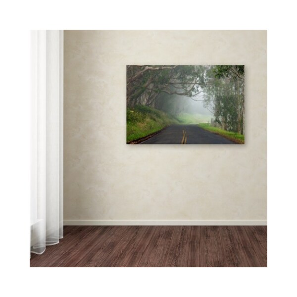 Trademark Fine Art Mike Jones Photo 'Foggy Road near Dillon Beach' Canvas Art, 12x19 - ALI17821-C1219GG