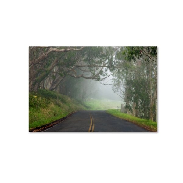 Trademark Fine Art Mike Jones Photo 'Foggy Road near Dillon Beach' Canvas Art, 12x19 - ALI17821-C1219GG