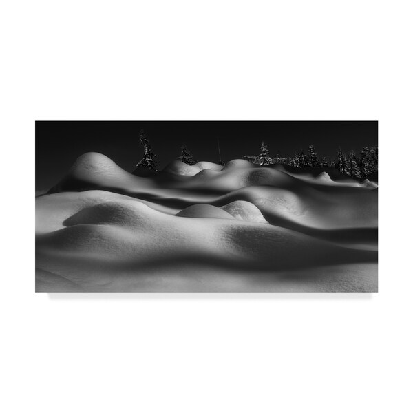 Trademark Fine Art Shenshen Dou 'Sleeping Beauties' Canvas Art, 10x19 - 1X05775-C1019GG
