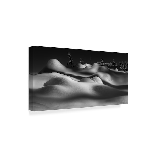 Trademark Fine Art Shenshen Dou 'Sleeping Beauties' Canvas Art, 10x19 - 1X05775-C1019GG