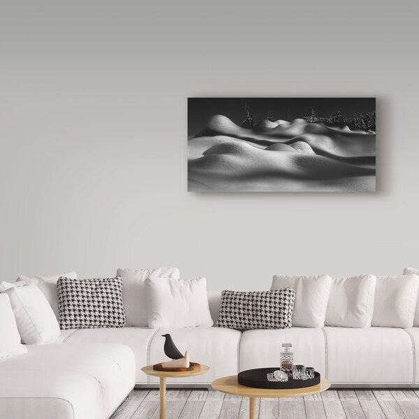Trademark Fine Art Shenshen Dou 'Sleeping Beauties' Canvas Art, 10x19 - 1X05775-C1019GG