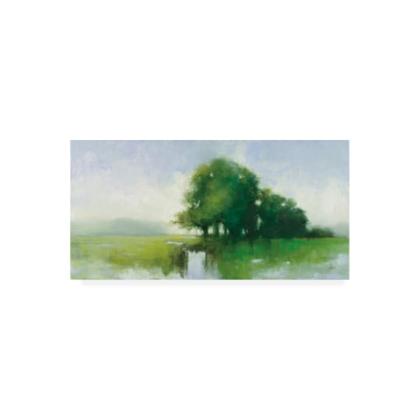 Trademark Fine Art Julia Purinton 'River Romance' Canvas Art, 12x24 - WAP11878-C1224GG