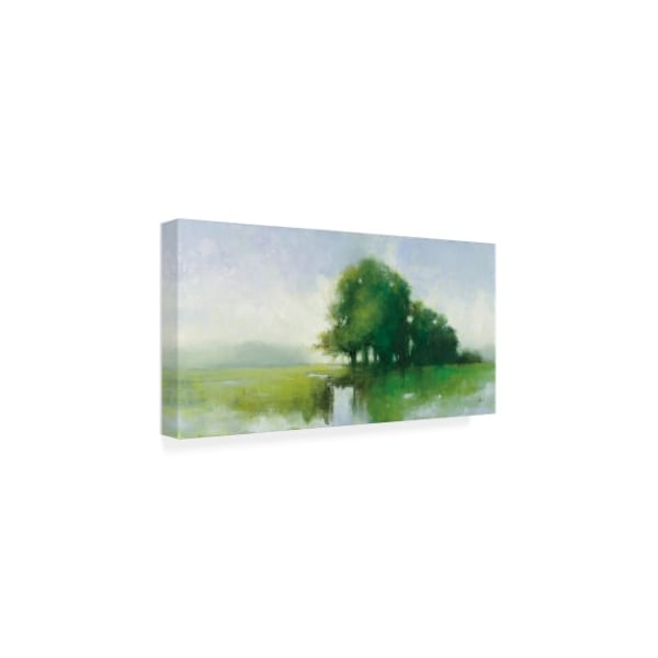 Trademark Fine Art Julia Purinton 'River Romance' Canvas Art, 12x24 - WAP11878-C1224GG