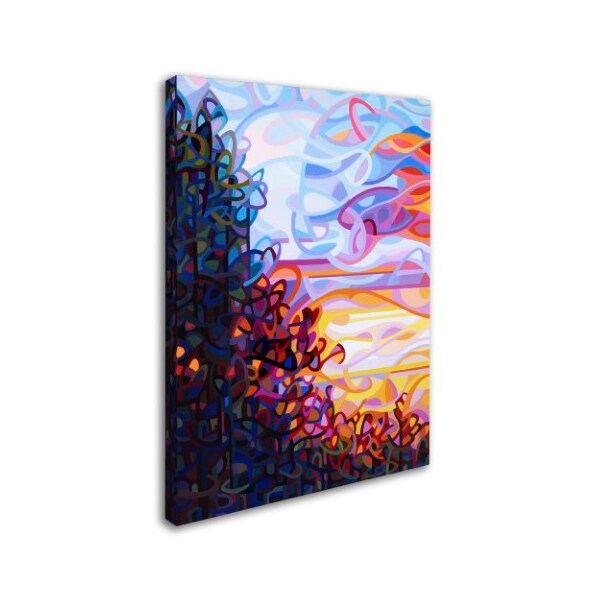 Trademark Fine Art Mandy Budan 'Crescendo' Canvas Art, 14x19 - ALI0918-C1419GG