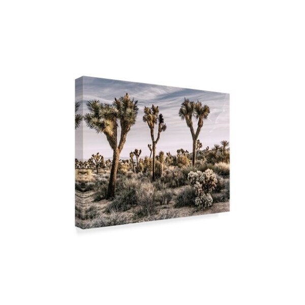 Trademark Fine Art Rachel Perry 'Views Of Joshua Tree Ix' Canvas Art, 14x19 - WAG06093-C1419GG