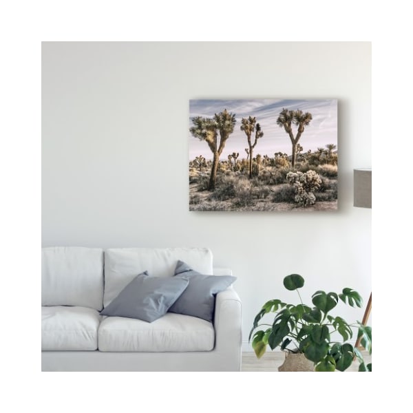 Trademark Fine Art Rachel Perry 'Views Of Joshua Tree Ix' Canvas Art, 14x19 - WAG06093-C1419GG