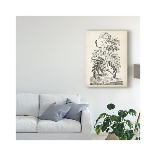 Trademark Fine Art Abraham Munting 'Scenic Botanical I' Canvas Art, 14x19 - WAG06688-C1419GG