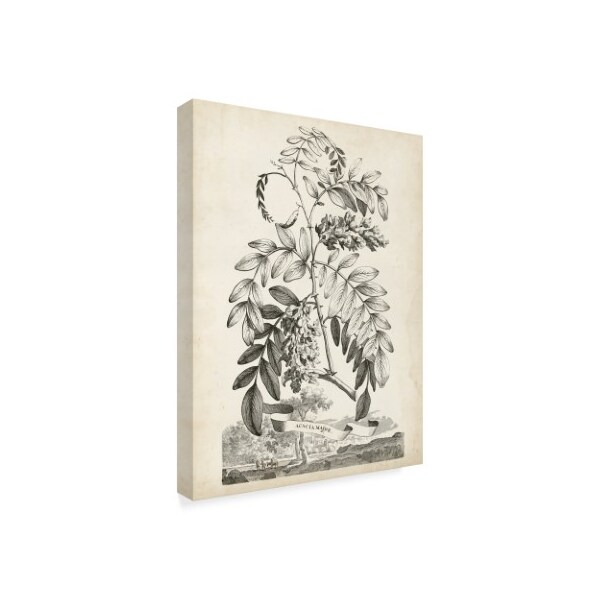 Trademark Fine Art Abraham Munting 'Scenic Botanical I' Canvas Art, 14x19 - WAG06688-C1419GG