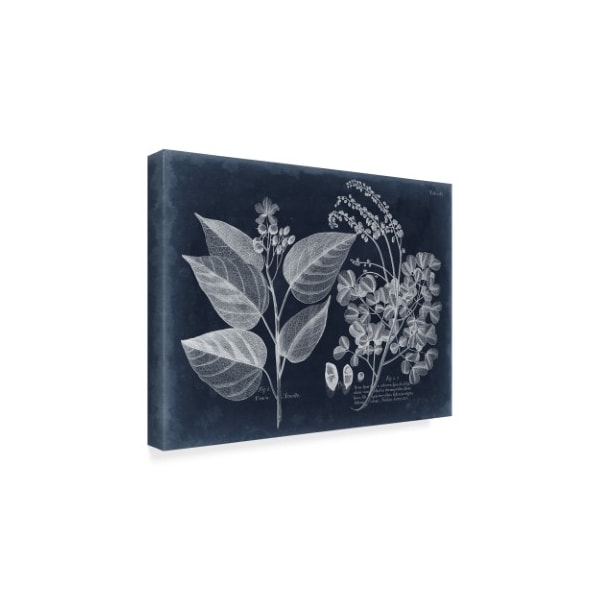 Trademark Fine Art Vision Studio 'Foliage On Navy Iii' Canvas Art, 14x19 - WAG09665-C1419GG