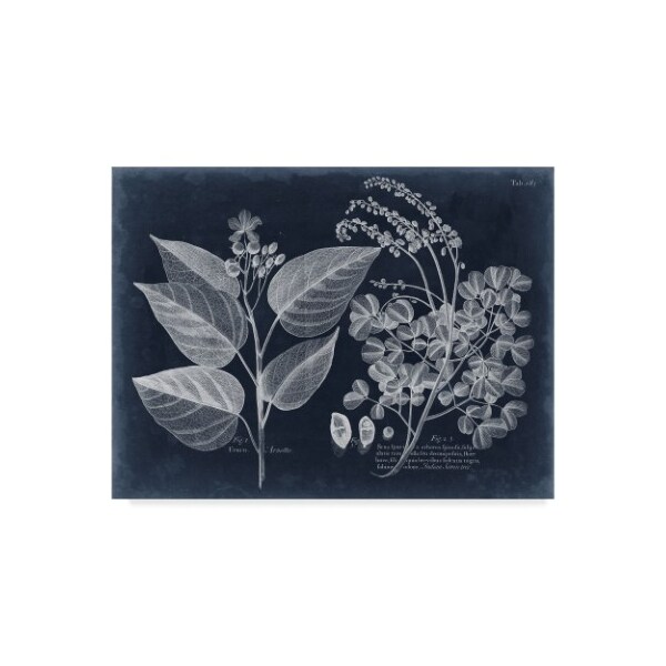 Trademark Fine Art Vision Studio 'Foliage On Navy Iii' Canvas Art, 14x19 - WAG09665-C1419GG