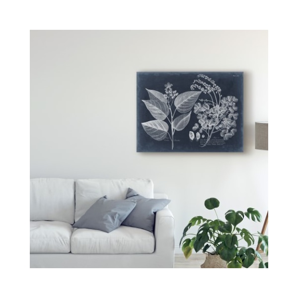 Trademark Fine Art Vision Studio 'Foliage On Navy Iii' Canvas Art, 14x19 - WAG09665-C1419GG
