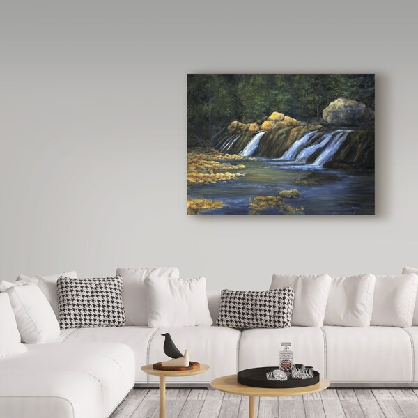 Trademark Fine Art John Morrow 'Light on the Rocks ' Canvas Art, 35x47 - ALI21233-C3547GG
