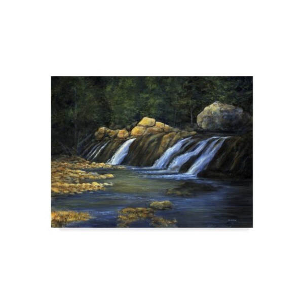 Trademark Fine Art John Morrow 'Light on the Rocks ' Canvas Art, 35x47 - ALI21233-C3547GG