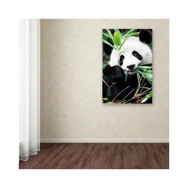 Trademark Fine Art Philippe Hugonnard 'Giant Panda I' Canvas Art, 22x32 - PH0377-C2232GG