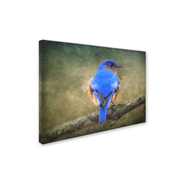 Trademark Fine Art Jai Johnson 'Bluebird Portrait' Canvas Art, 24x32 - ALI13811-C2432GG