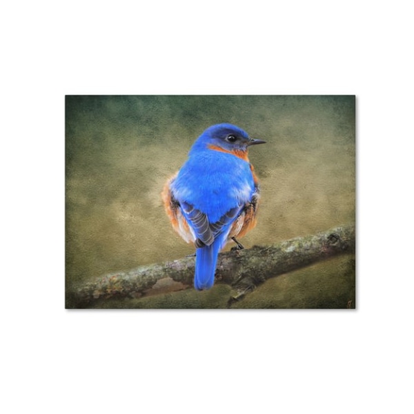 Trademark Fine Art Jai Johnson 'Bluebird Portrait' Canvas Art, 24x32 - ALI13811-C2432GG