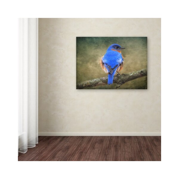 Trademark Fine Art Jai Johnson 'Bluebird Portrait' Canvas Art, 24x32 - ALI13811-C2432GG
